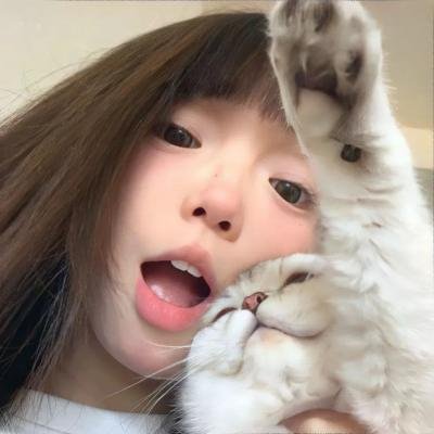 动物